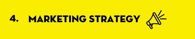 Marketing Strategy