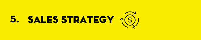 Sales Strategy